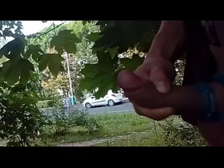 Thumbnail: Public Sex at Bus Stop Shocks Everyone Around